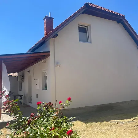 Zsanett's House