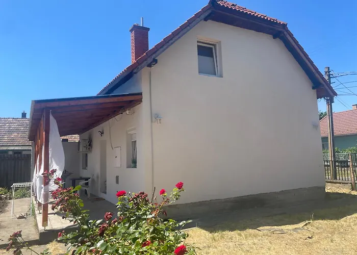 Zsanett's House